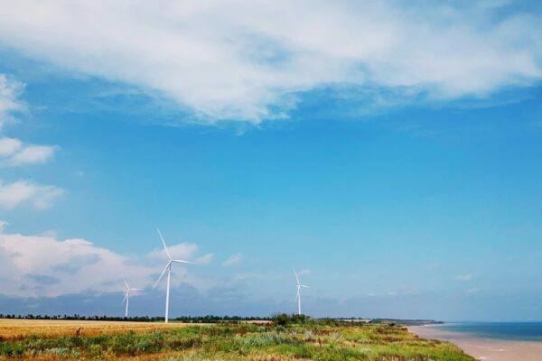 Windmolens en duurzame energie, Europese Green Deal